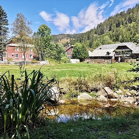 B3 Albmatte-fewo Sauna, Hallenbad Aussenbecken Massagen Nebenan * Menzenschwand