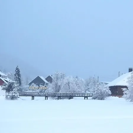B3 Albmatte-fewo Sauna, Hallenbad Aussenbecken Massagen Nebenan Apartment *