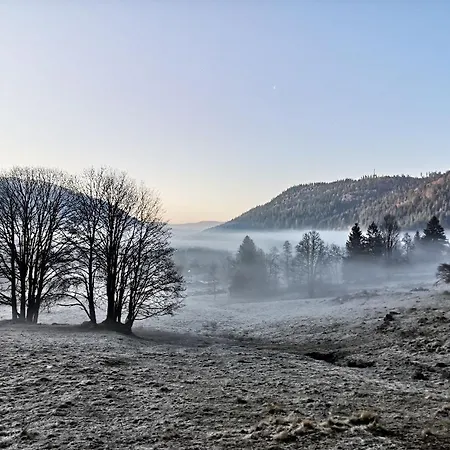 Apartamento B3 Albmatte-fewo Sauna, Hallenbad Aussenbecken Massagen Nebenan *