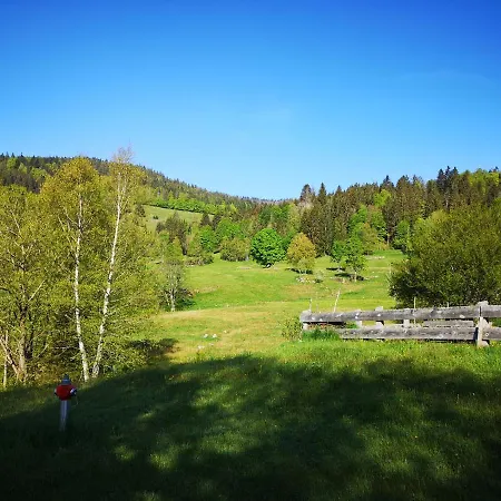 B3 Albmatte-fewo Sauna, Hallenbad Aussenbecken Massagen Nebenan * Menzenschwand-Hinterdorf