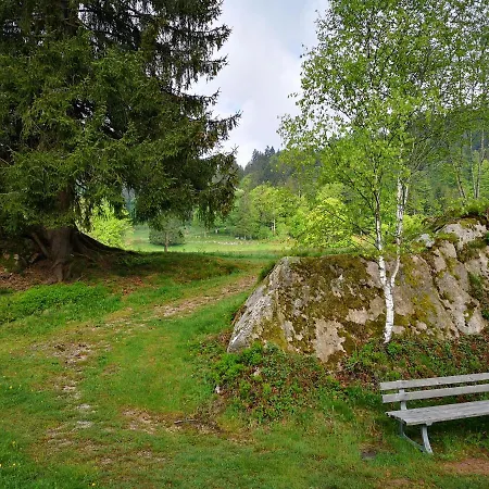 B3 Albmatte-fewo Sauna, Hallenbad Aussenbecken Massagen Nebenan *