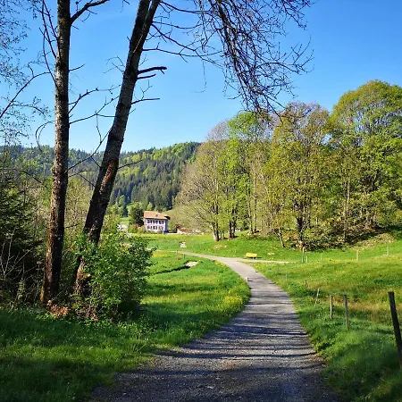 B3 Albmatte-fewo Sauna, Hallenbad Aussenbecken Massagen Nebenan Apartment Menzenschwand