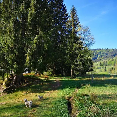 B3 Albmatte-fewo Sauna, Hallenbad Aussenbecken Massagen Nebenan Apartment Menzenschwand