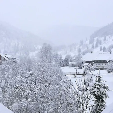 Apartament B3 Albmatte-fewo Sauna, Hallenbad Aussenbecken Massagen Nebenan Menzenschwand-Hinterdorf