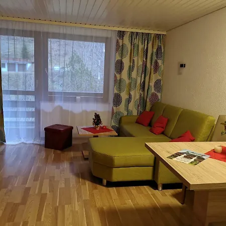 Apartamento B3 Albmatte-fewo Sauna, Hallenbad Aussenbecken Massagen Nebenan Menzenschwand-Hinterdorf