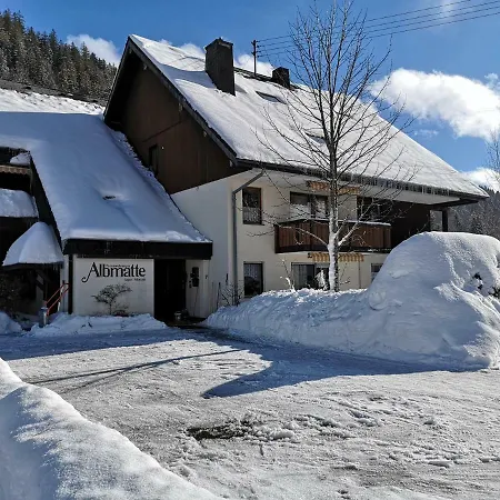 B3 Albmatte-fewo Sauna, Hallenbad Aussenbecken Massagen Nebenan * Menzenschwand-Hinterdorf