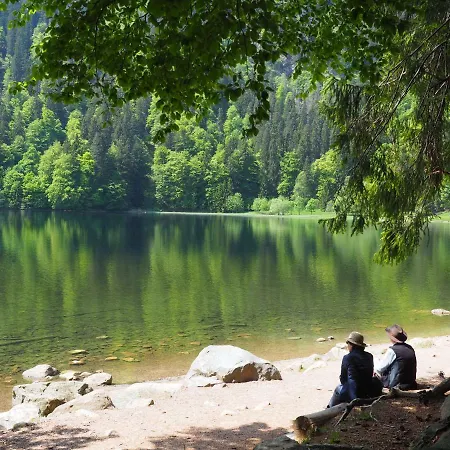 B3 Albmatte-fewo Sauna, Hallenbad Aussenbecken Massagen Nebenan Lejlighed *