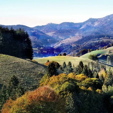 Apartamento B3 Albmatte-fewo Sauna, Hallenbad Aussenbecken Massagen Nebenan Menzenschwand-Hinterdorf