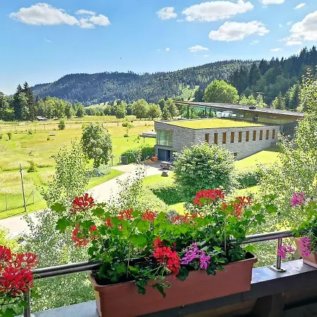B3 Albmatte-fewo Sauna, Hallenbad Aussenbecken Massagen Nebenan Apartment