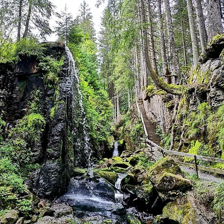 B3 Albmatte-fewo Sauna, Hallenbad Aussenbecken Massagen Nebenan *
