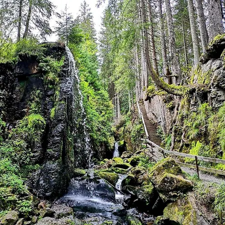 B3 Albmatte-fewo Sauna, Hallenbad Aussenbecken Massagen Nebenan *