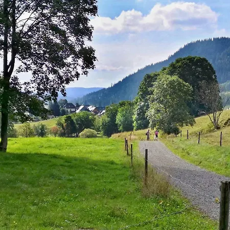 B3 Albmatte-fewo Sauna, Hallenbad Aussenbecken Massagen Nebenan *