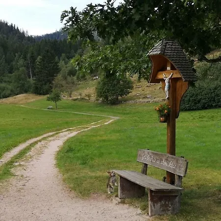 B3 Albmatte-fewo Sauna, Hallenbad Aussenbecken Massagen Nebenan Apartament Menzenschwand-Hinterdorf