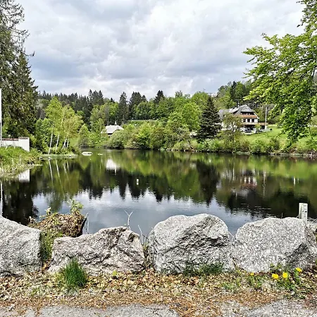 B3 Albmatte-fewo Sauna, Hallenbad Aussenbecken Massagen Nebenan Apartament