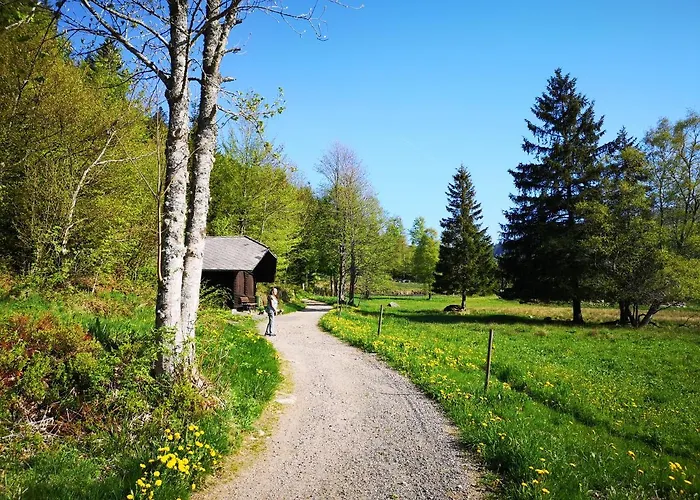 Apartament B3 Albmatte-fewo Sauna, Hallenbad Aussenbecken Massagen Nebenan *