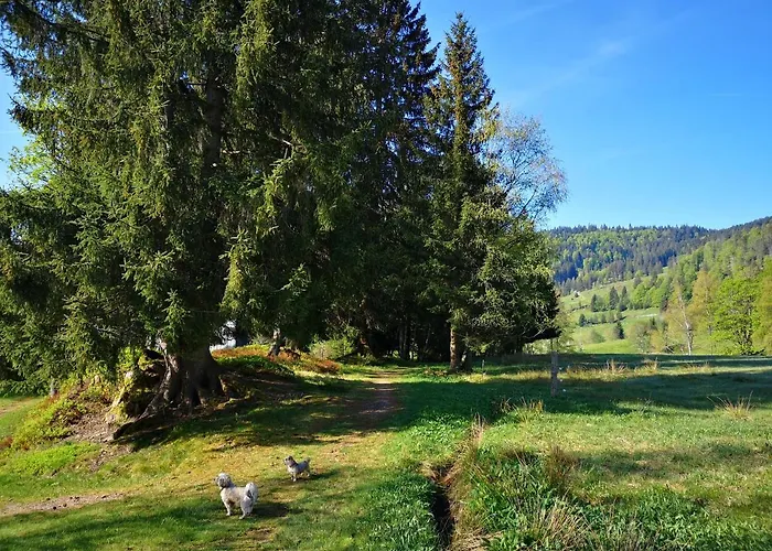 B3 Albmatte-fewo Sauna, Hallenbad Aussenbecken Massagen Nebenan Apartament Menzenschwand-Hinterdorf