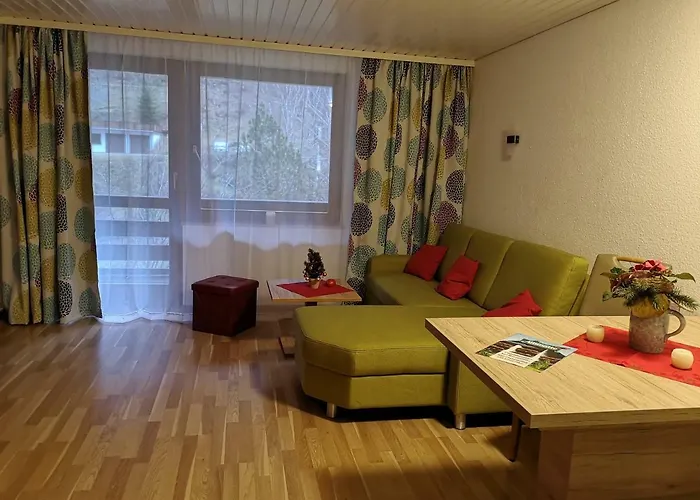 Apartament B3 Albmatte-fewo Sauna, Hallenbad Aussenbecken Massagen Nebenan Menzenschwand-Hinterdorf
