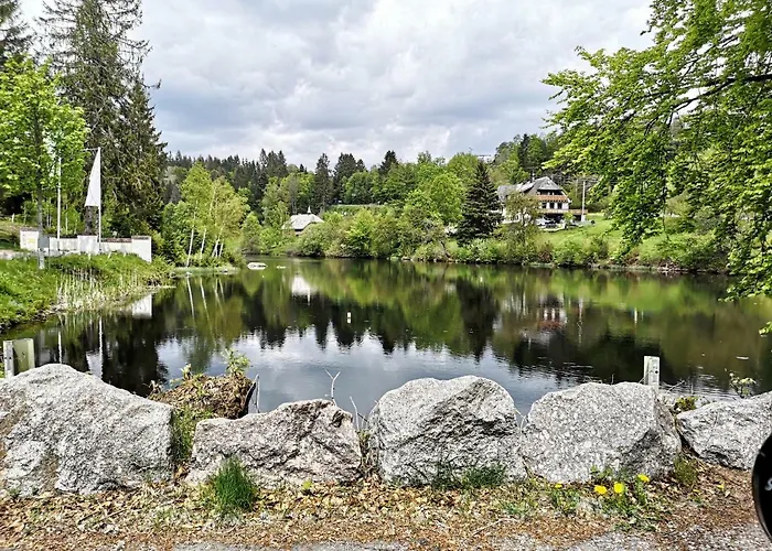 B3 Albmatte-fewo Sauna, Hallenbad Aussenbecken Massagen Nebenan Apartament